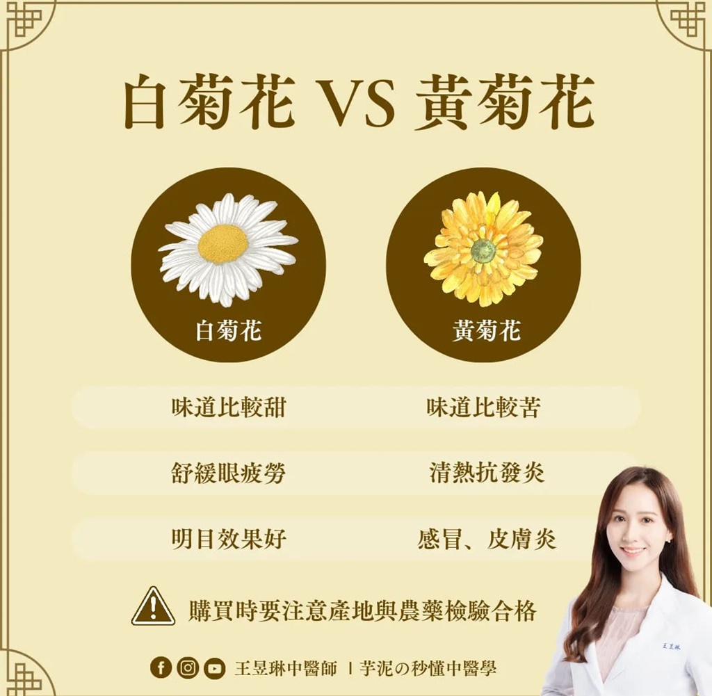 菊花的功效真有那么神奇吗?老中医告诉你真相!