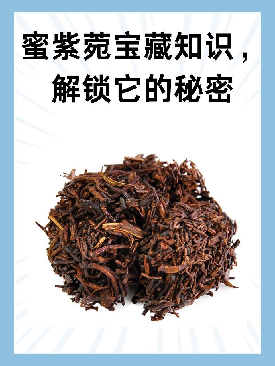 蜜紫菀的功效与作用怎么用?用对了身体才会越来越好!