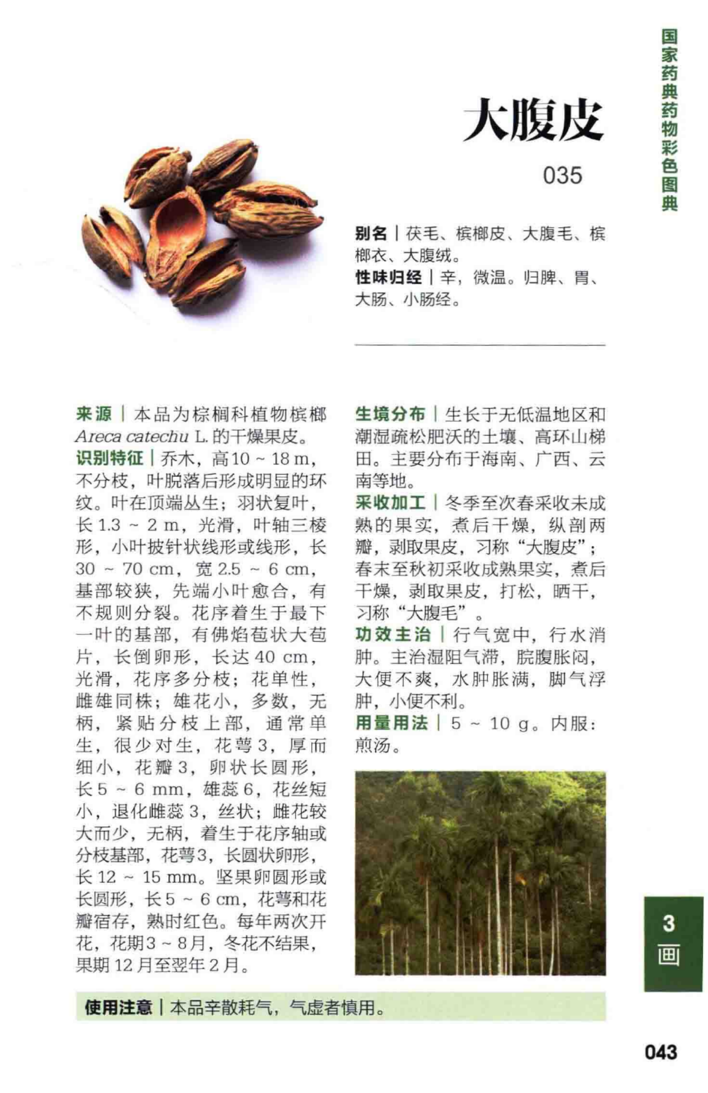 别小看大腹皮的功效与作用,原来它对缓解胀气很有用!