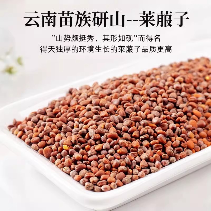 紫苏子的功效与作用是什么?这几点你可千万别忽视了!