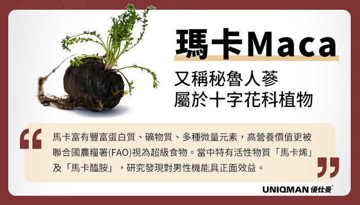 玛咖的功效与作用怎么发挥?这样吃吸收好效果才棒!