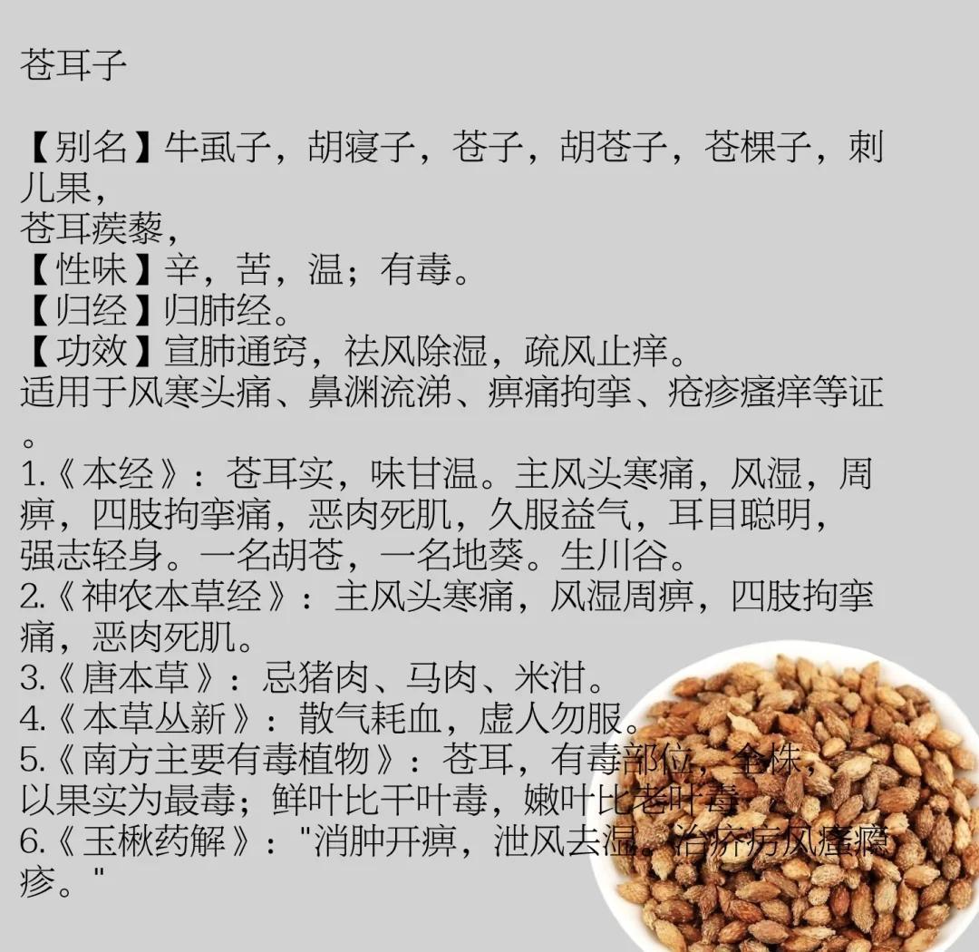 炒苍耳子的功效与作用是什么?日常保健用它好处真不少。