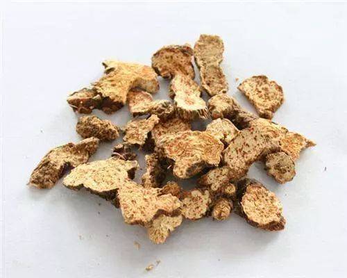 苍术功效与作用真不少,体虚湿重的人赶紧看过来!
