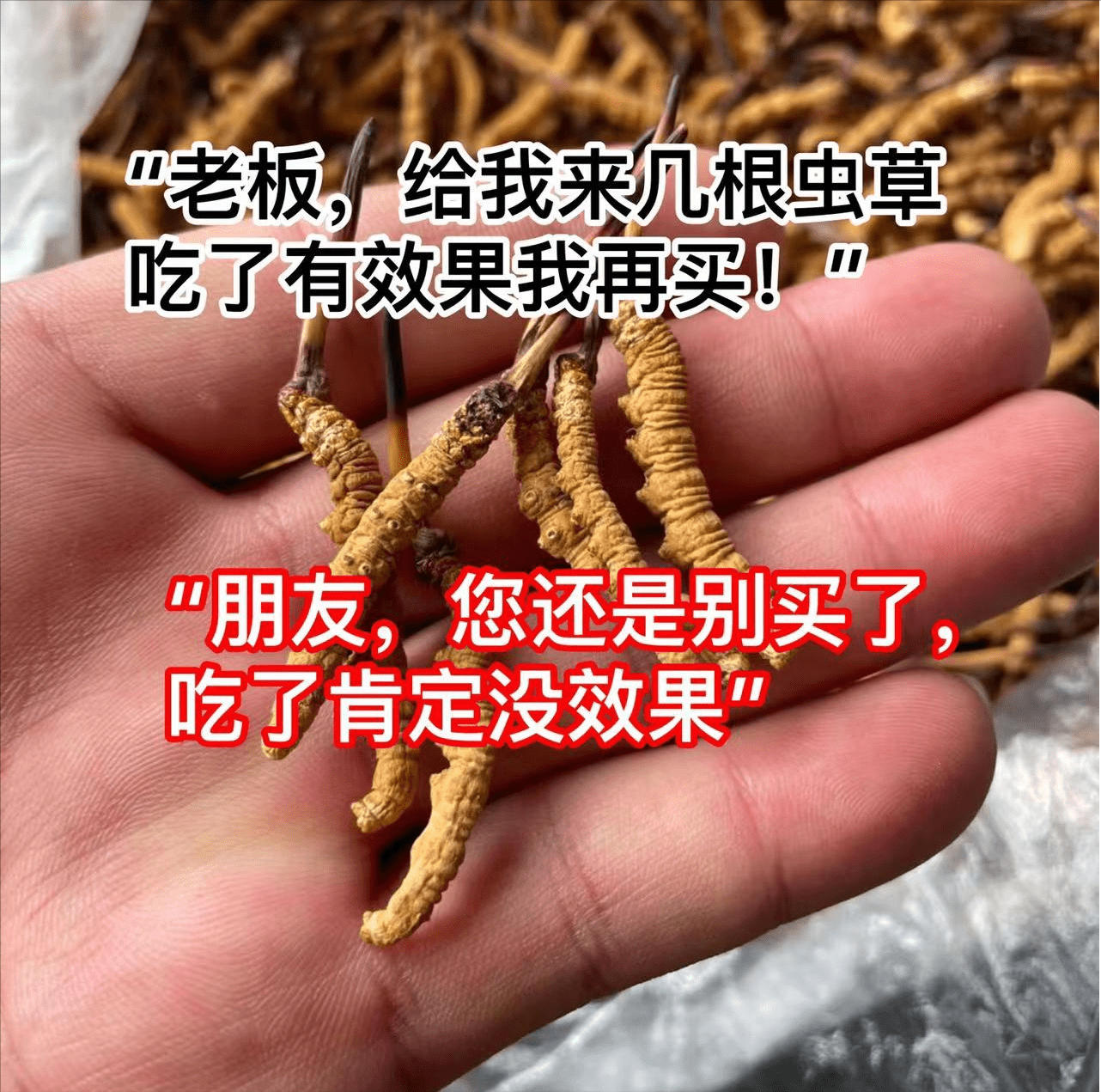 冬虫夏草的功效有哪些?吃多久才能见效呢?