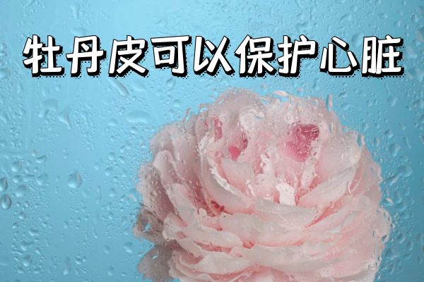 弄懂牡丹皮的功效与作用,清热凉血用它就对了!