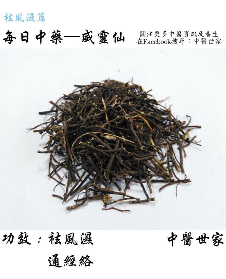 威灵仙的功效与作用:骨科医生都在用的中药