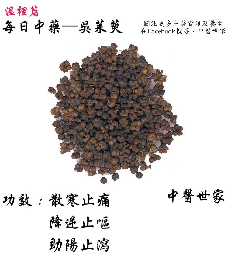 吴茱萸的功效别小瞧,暖胃散寒效果特别好!