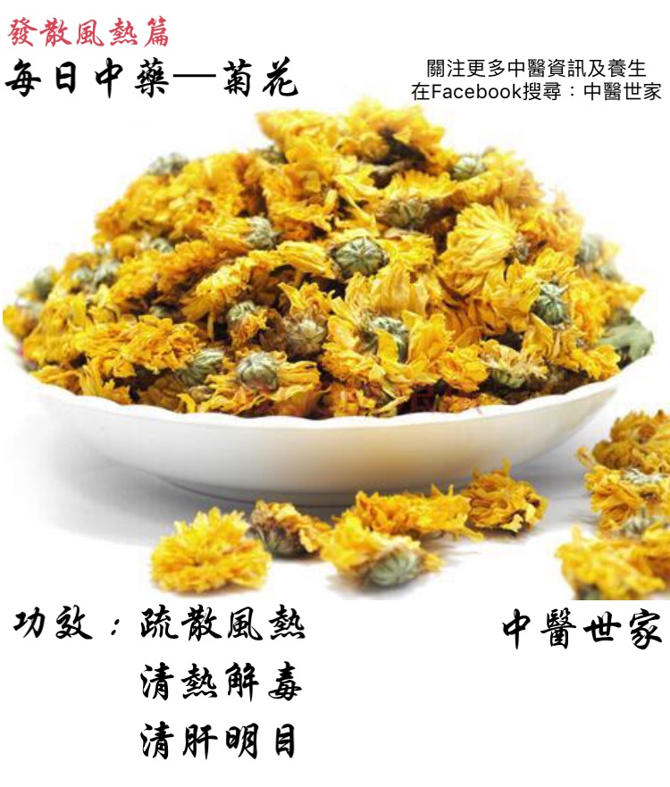 菊花的功效真有那么神奇吗?老中医告诉你真相!