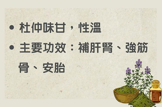 杜仲的功效有哪些?老中医告诉你它的神奇之处!