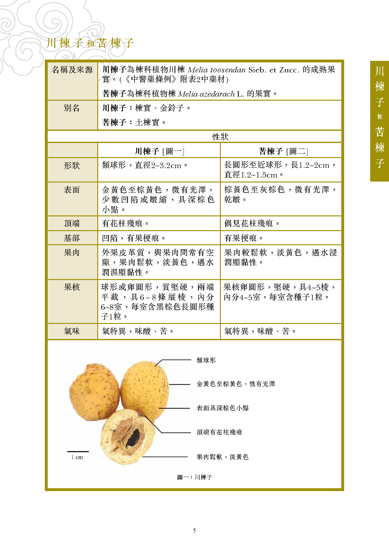川楝子的功效与作用大揭秘,老中医告诉你真相!