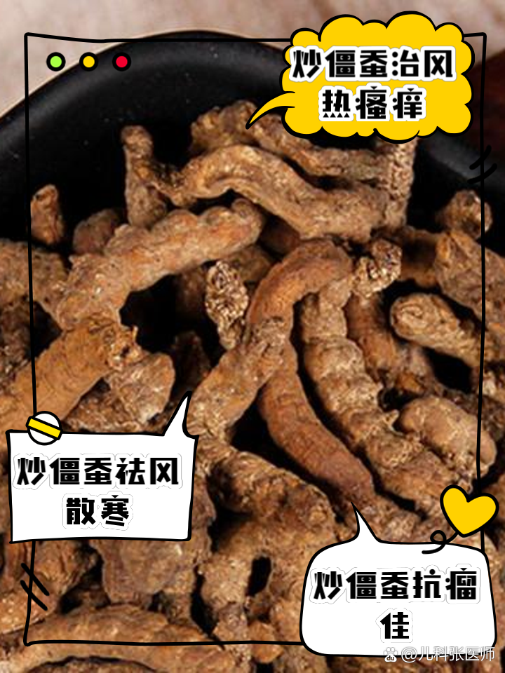 炒僵蚕的功效与作用是什么?用对了能治这些常见病!