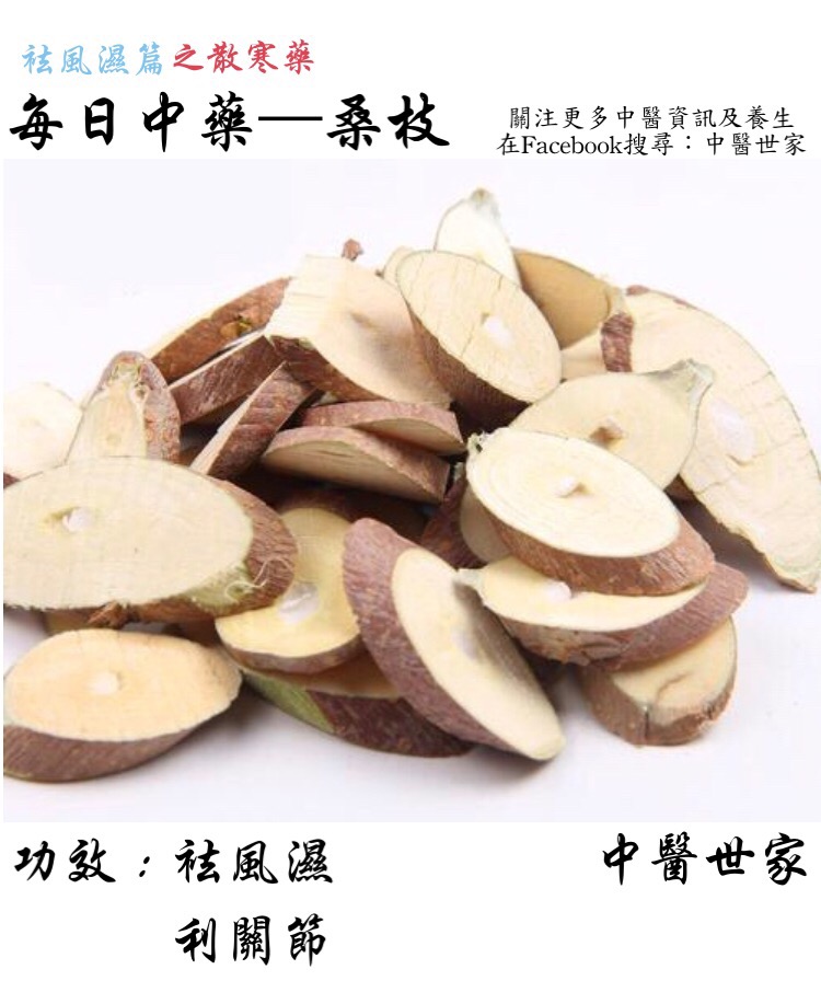 想知道桑枝的功效与作用?老中医告诉你怎么用!