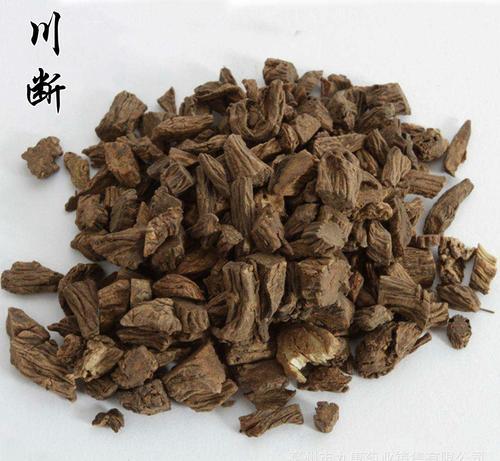 川断的功效与作用详解,特别适合这几类人!