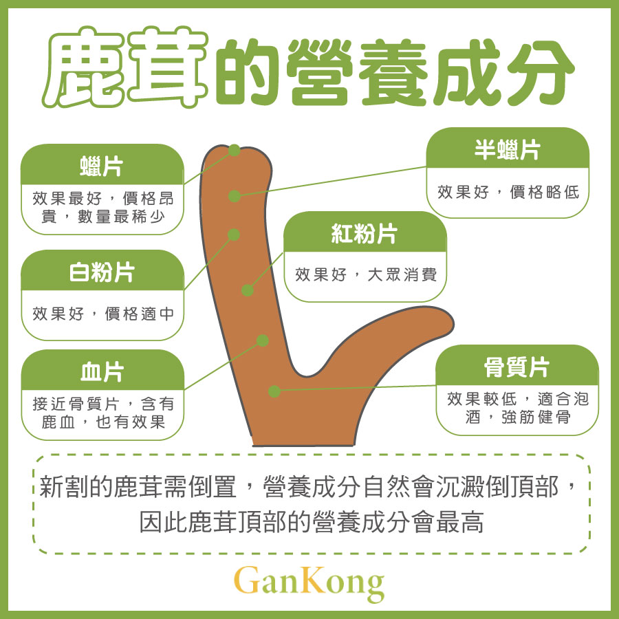 想知道鹿茸的功效怎么发挥最好?这样搭配效果翻倍!
