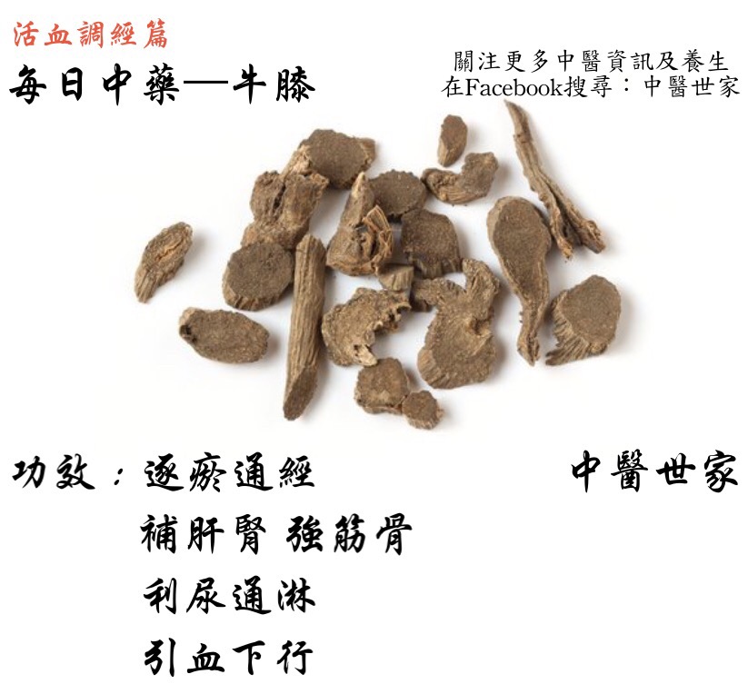 牛膝的功效与作用及食用方法，简单易懂一看就会