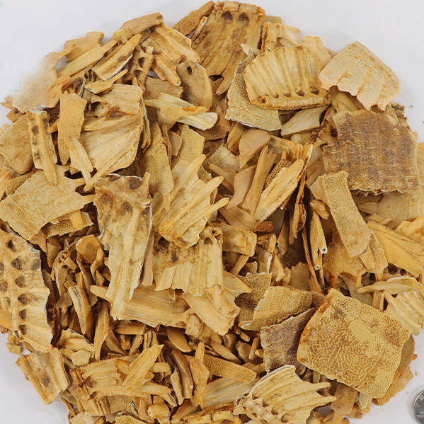 醋鳖甲的功效与作用有哪些?知道这些好处多多!