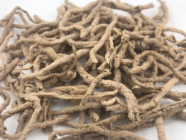 想了解远志的功效与作用?据说安神益智效果很不错!