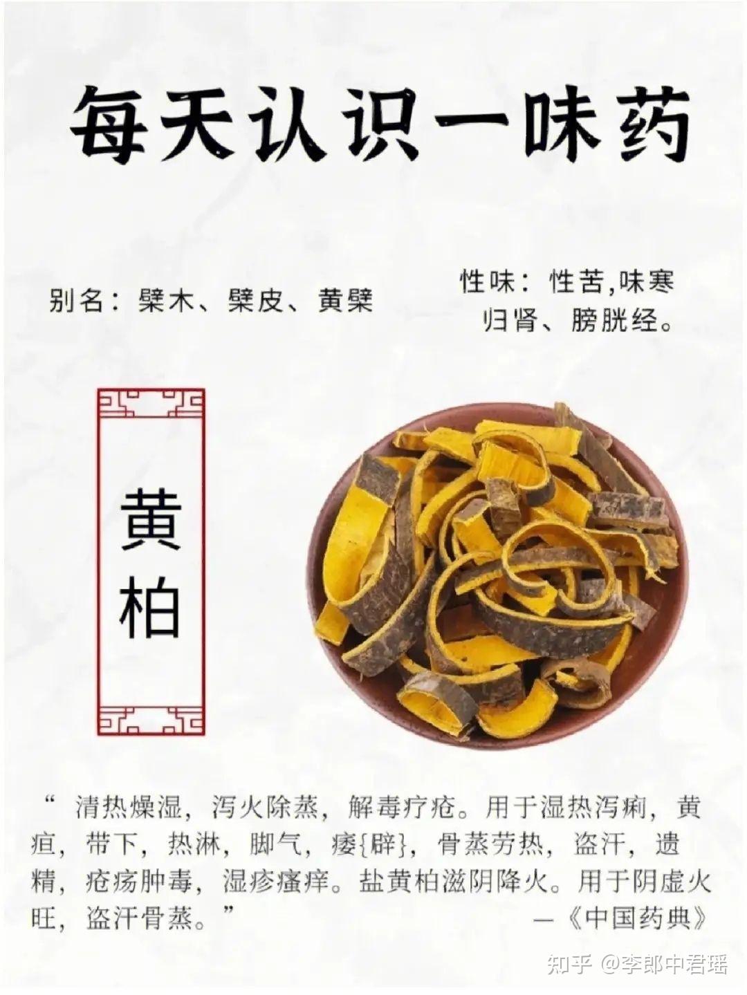 了解黄柏的功效与作用,清热燥湿效果真的很不错!