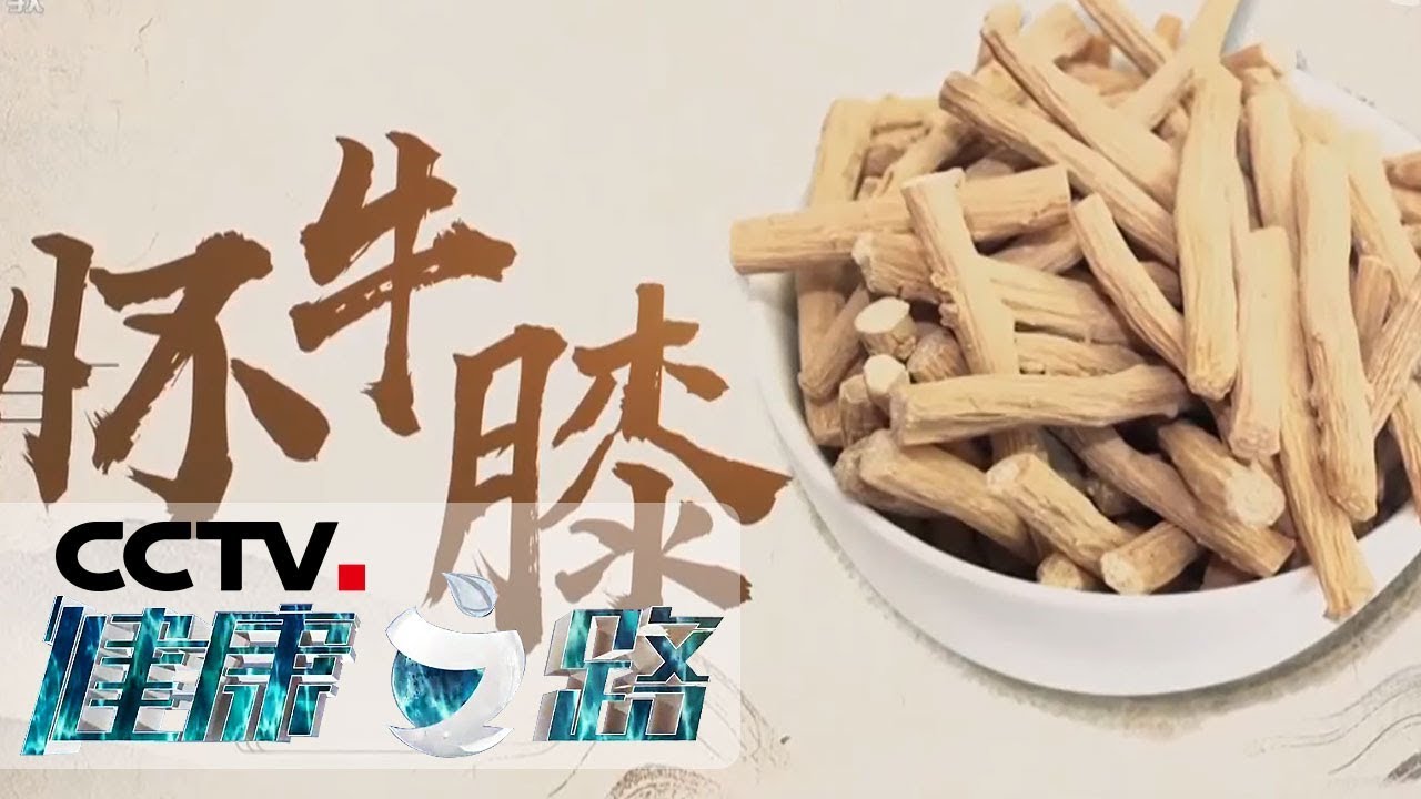 怀牛膝的功效与作用是什么?老中医为你详细讲解!