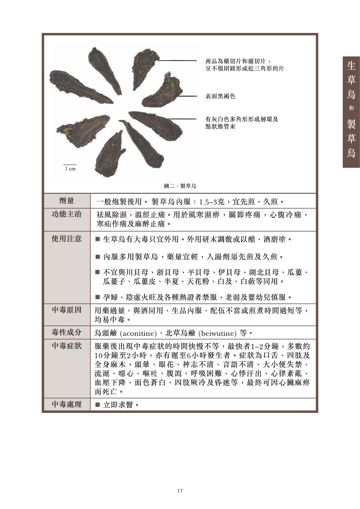 草乌的功效与作用有哪些?这篇文章给你说明白