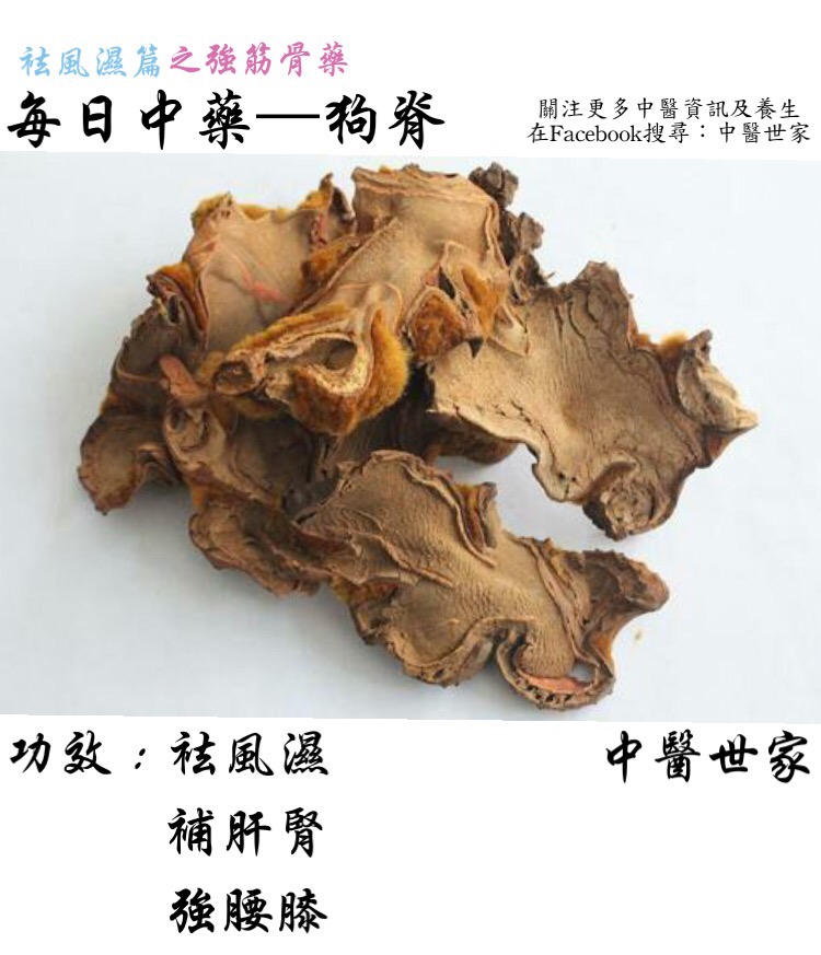 狗脊的功效与作用是什么?常腰痛的人赶紧收藏备用!