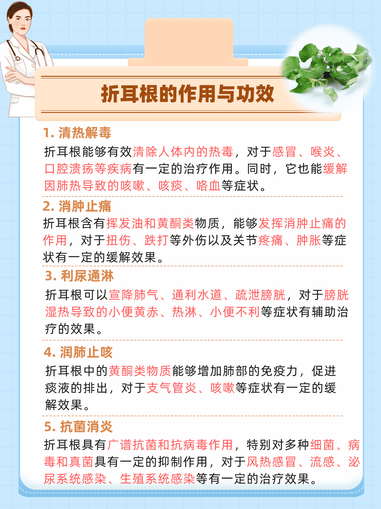 折耳根的副作用有哪些?了解折耳根的功效与作用!