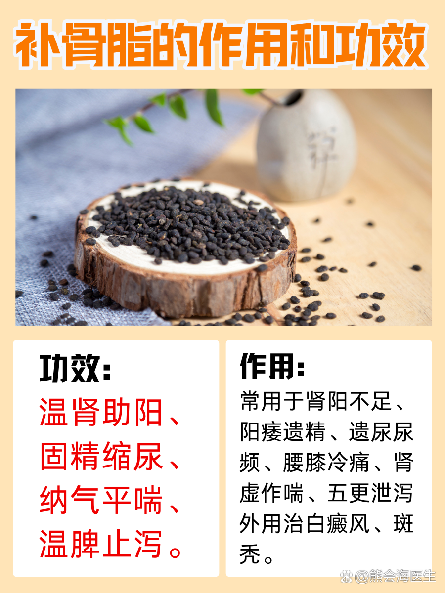 想知道补骨脂的功效与作用吗?这几点一定要了解!