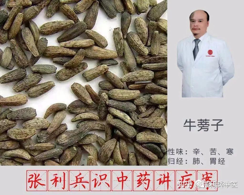 盘点牛蒡子的功效与作用,清热解毒只是其中一个方面!