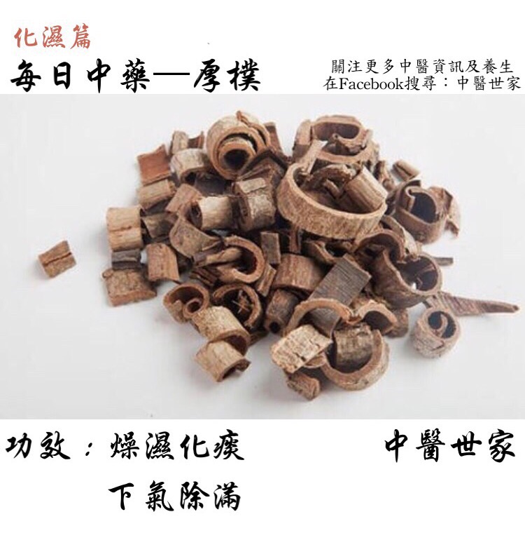 厚朴的作用与功效有哪些?老中医告诉你这几点很重要!