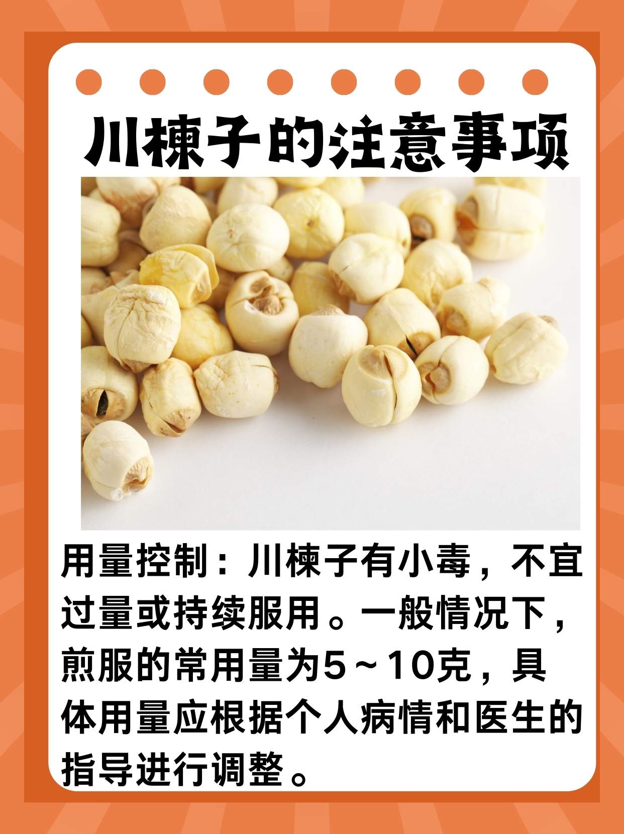 川楝子的功效与作用大揭秘,老中医告诉你真相!