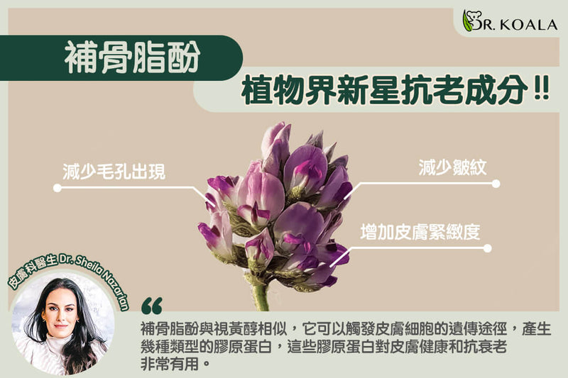 想知道补骨脂的功效与作用吗?这几点一定要了解!