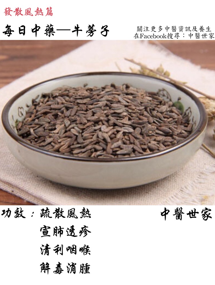 盘点牛蒡子的功效与作用,清热解毒只是其中一个方面!