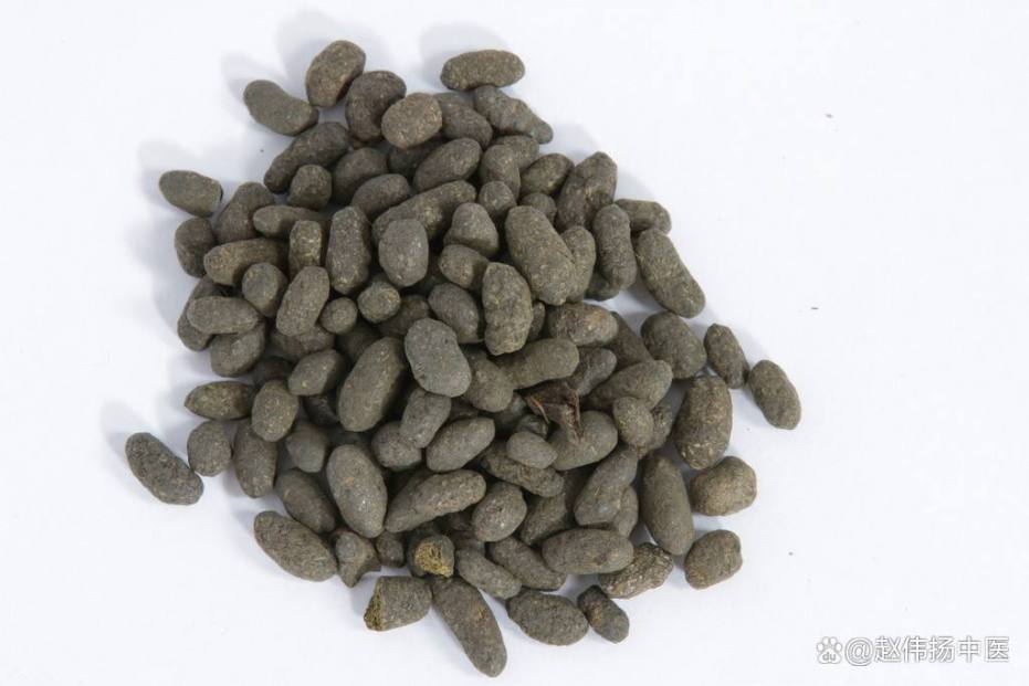 别小看五灵脂的功效与作用,活血止痛用它效果真不错!