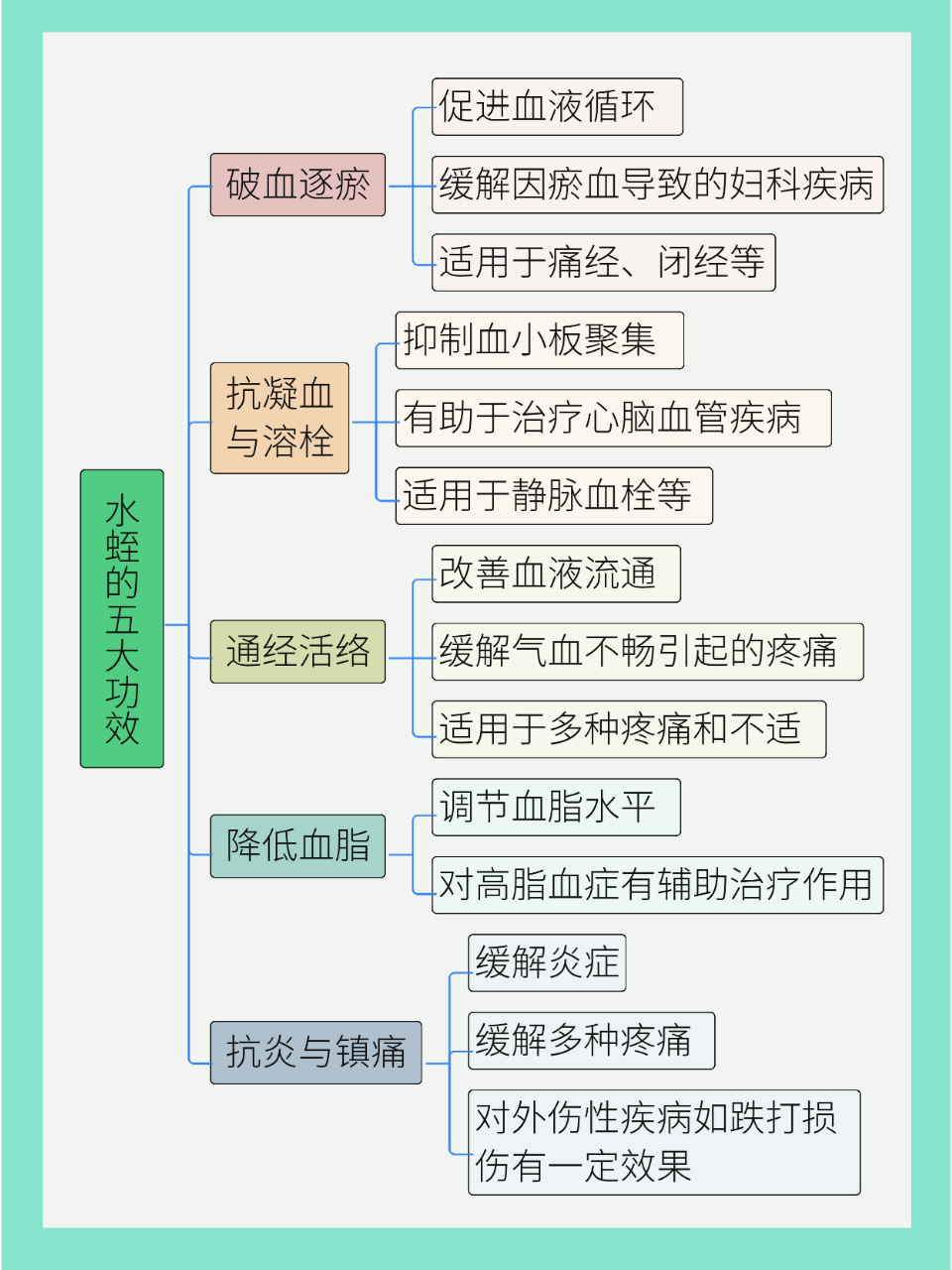别小看水蛭的功效与作用,用对地方好处多但禁忌也多!