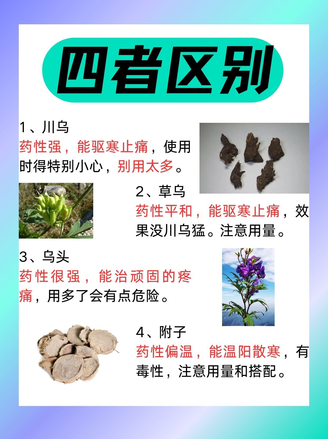 草乌的功效与作用有哪些?这篇文章给你说明白