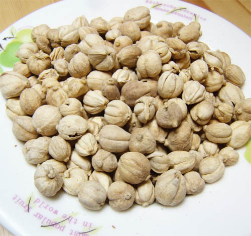 白豆蔻的功效与作用真那么神奇吗?快来看看专家怎么说!
