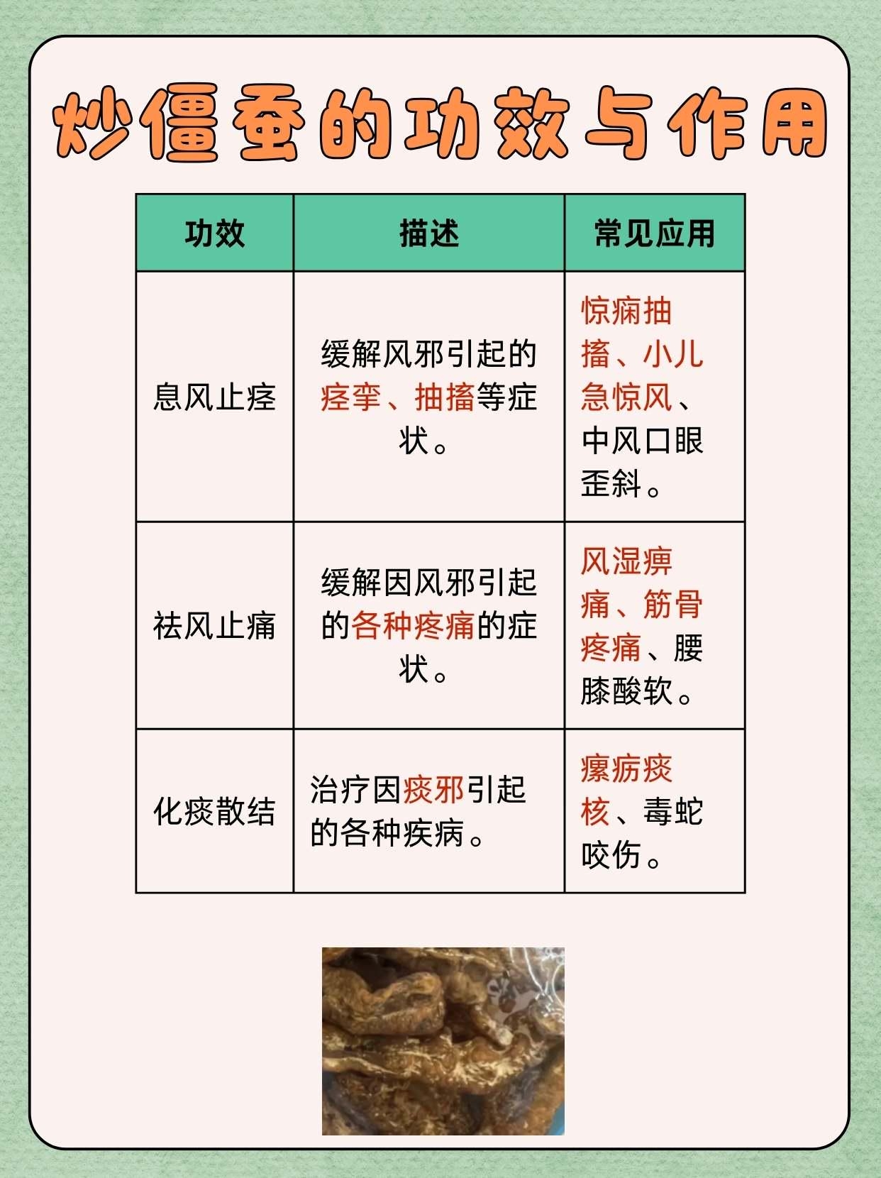 僵蚕的功效与作用有哪些?看完这篇你就明白了