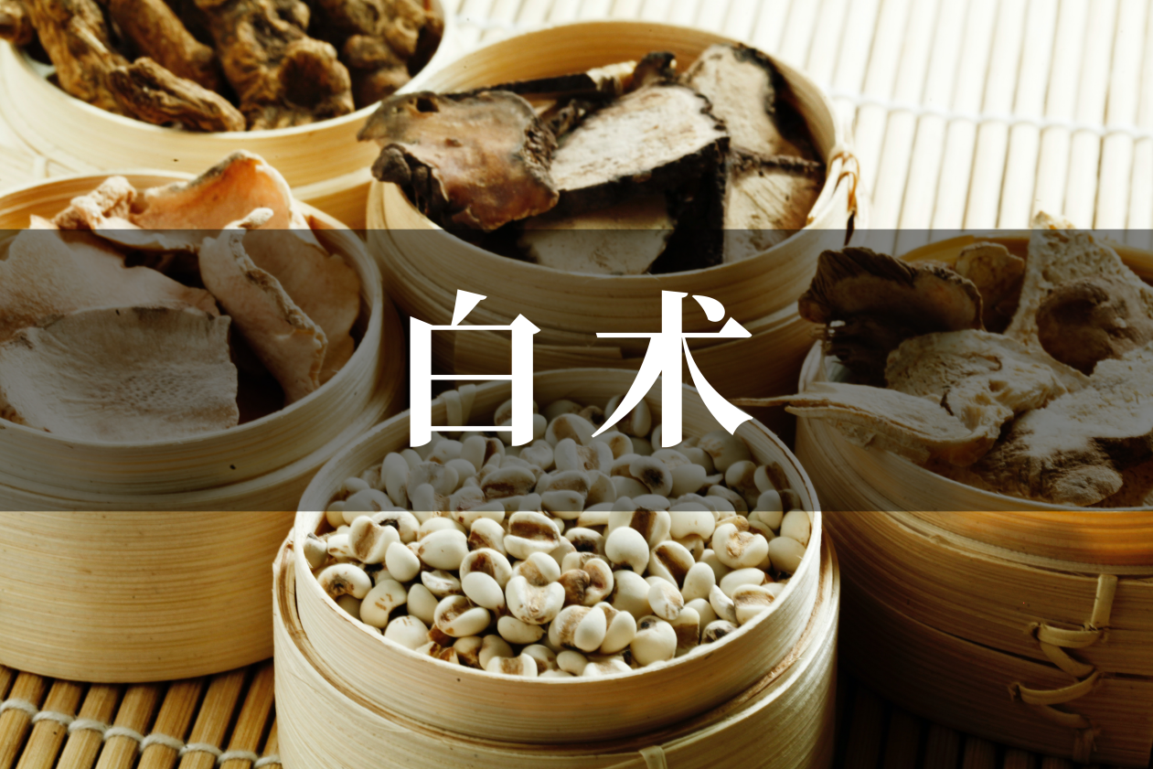 想知道白术的功效吗?专家为你一一解读!