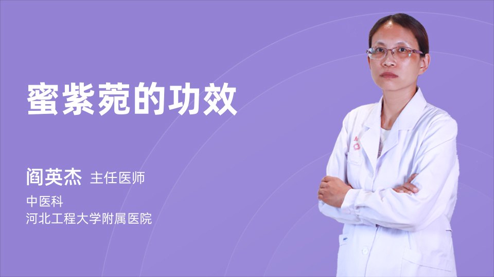 蜜紫菀的功效与作用怎么用?用对了身体才会越来越好!