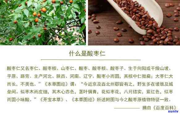 详解酸枣仁的作用与功效,晚上睡不好可以试试它!