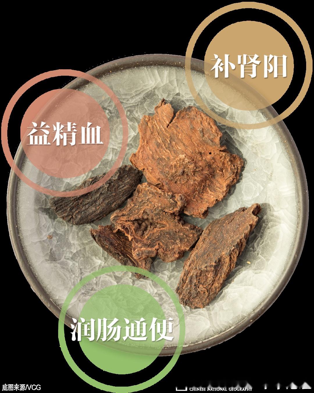 揭秘锁阳的功效与禁忌,这几类人千万不要乱吃!