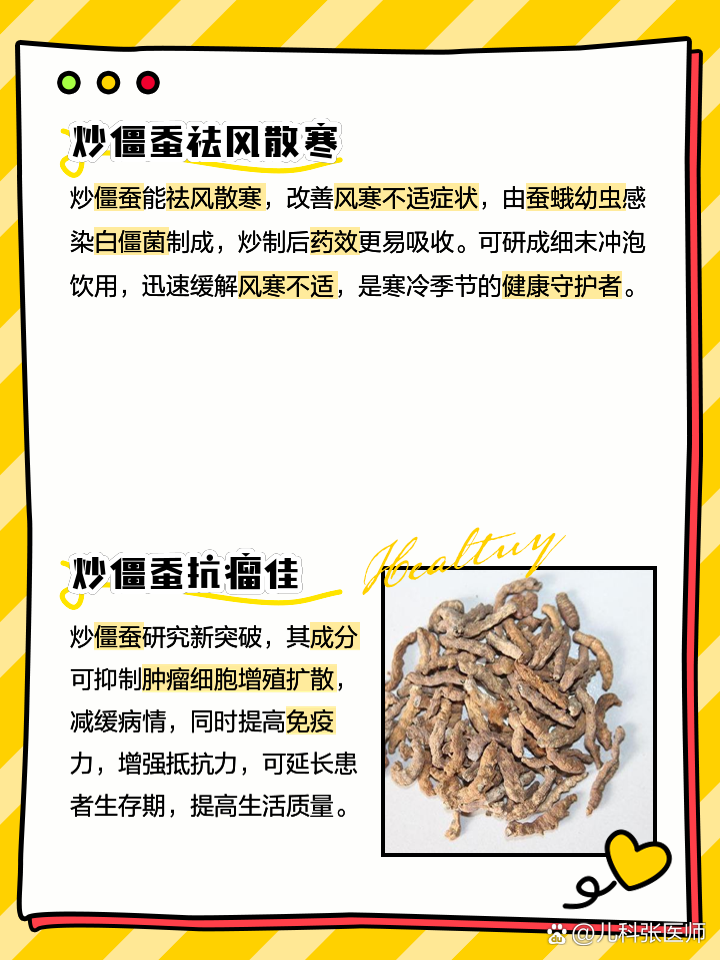 炒僵蚕的功效与作用是什么?用对了能治这些常见病!