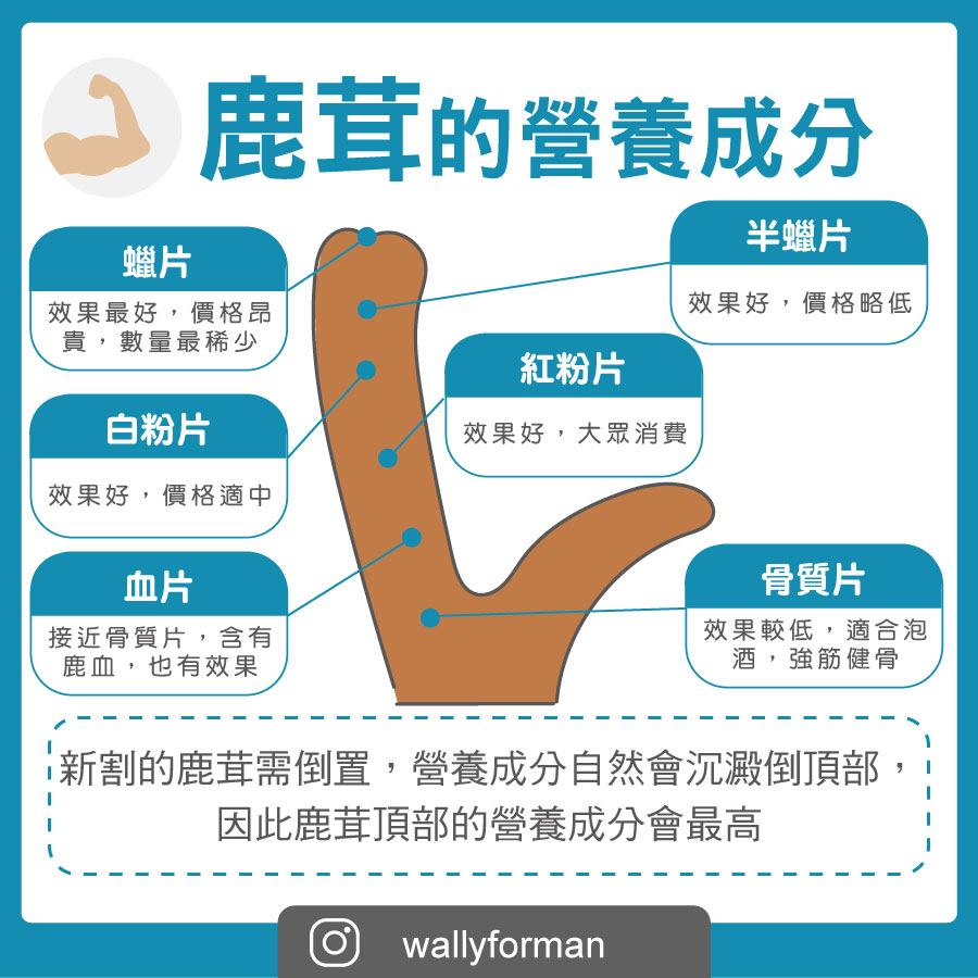 鹿茸的功效与作用真不少,男人吃了身体棒!