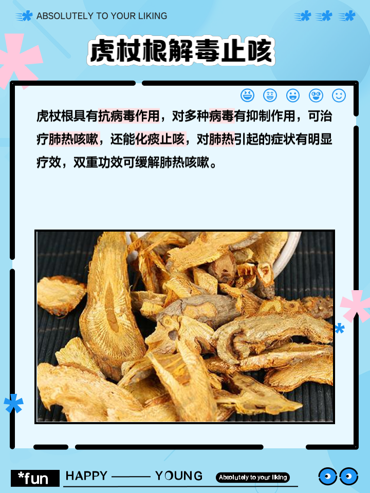 虎杖的功效与作用真不少,快来看看它都能干什么!