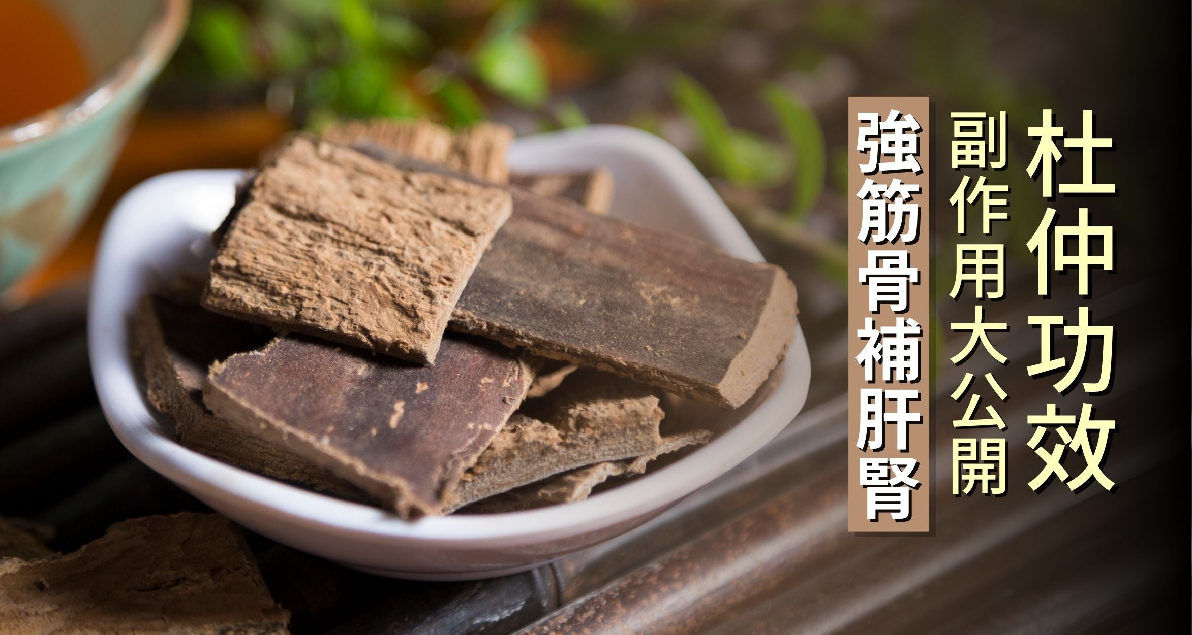 杜仲的功效与作用有哪些?常吃对腰肾真的很有好处!