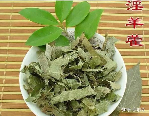 淫羊藿的功效与禁忌,想吃之前最好先看明白!