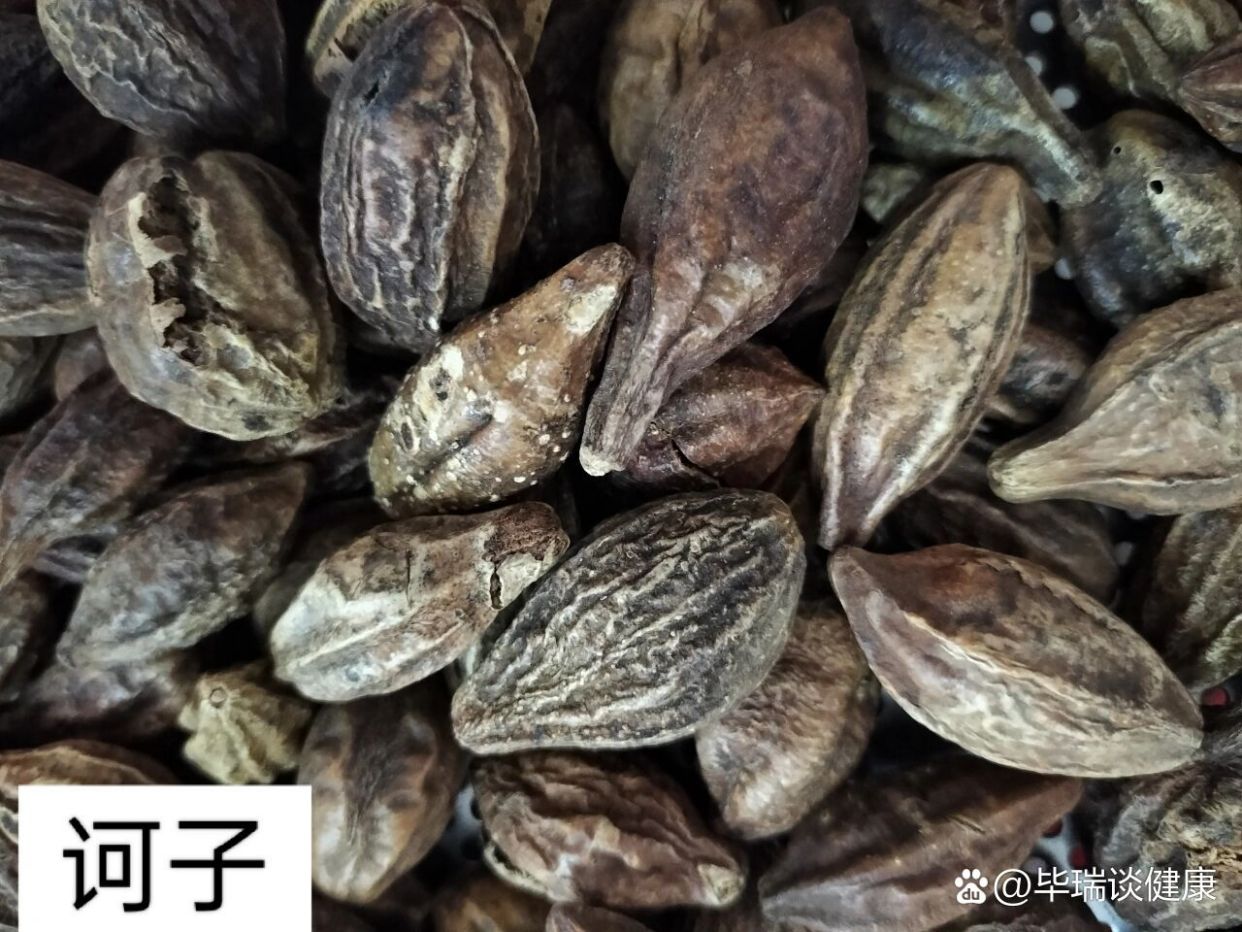 详解诃子的功效与作用,原来它对身体有这么多好处!