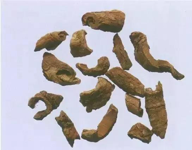 香加皮的功效与作用是啥?老辈人经验分享别错过!