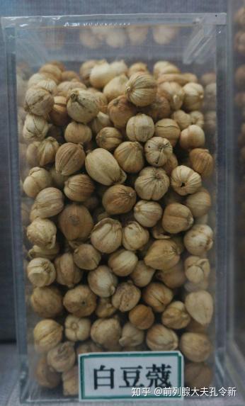 白豆蔻的功效与作用真那么神奇吗?快来看看专家怎么说!