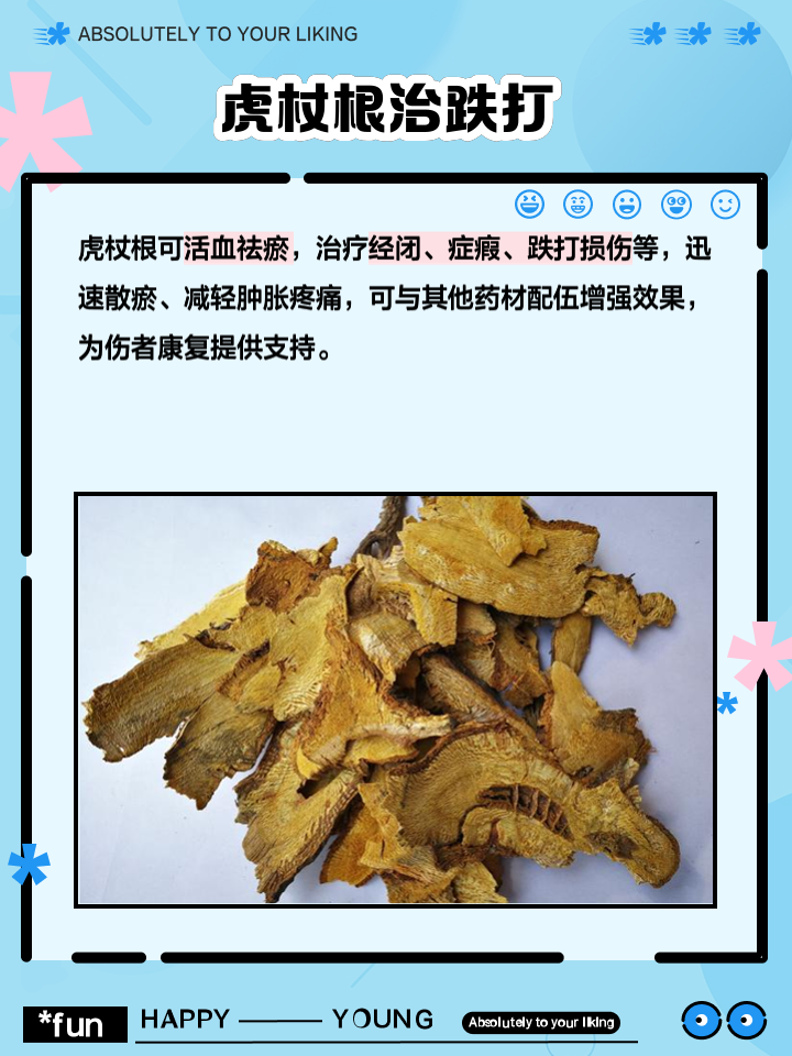 虎杖的功效与作用真不少,快来看看它都能干什么!